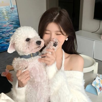 美丽的南方