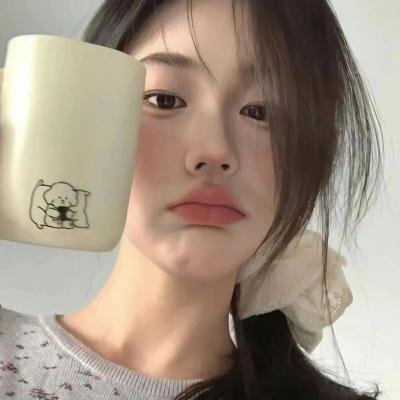 代号美洲豹